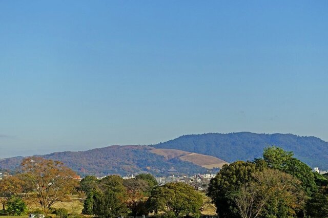 DSC08776m.jpg