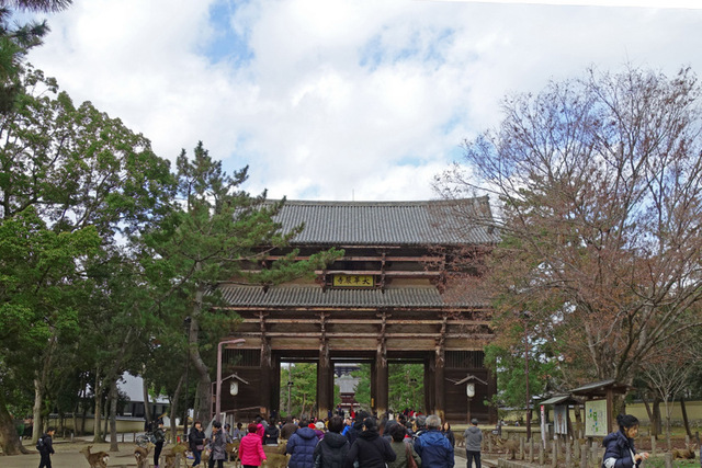 DSC08810m.jpg