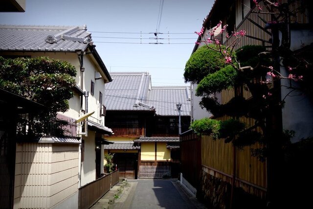 DSC09113.JPG