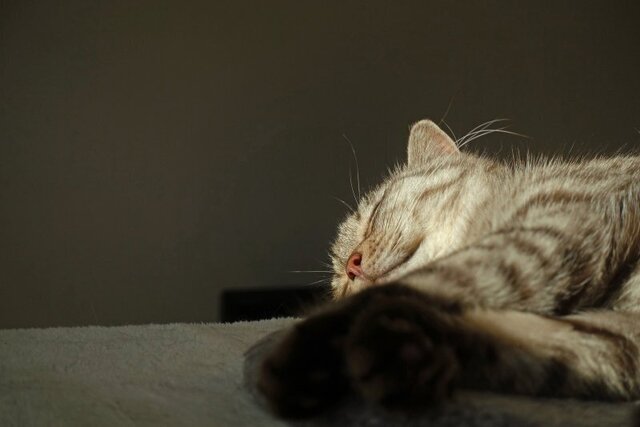 DSC09248m.jpg