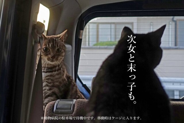 DSC09310mc2.jpg