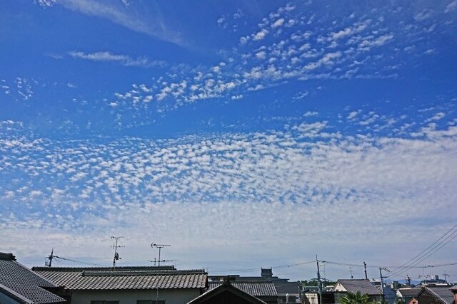 DSC_3155m.jpg